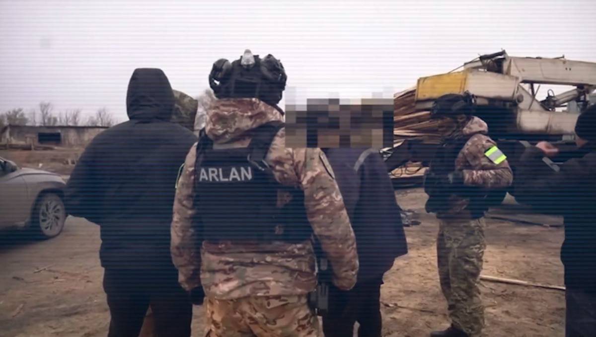 Схема незаконной вырубки леса пресечена в Костанайской области