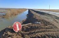 Вода уходит, проблемы остаются: что происходит с Карасуским каналом? 