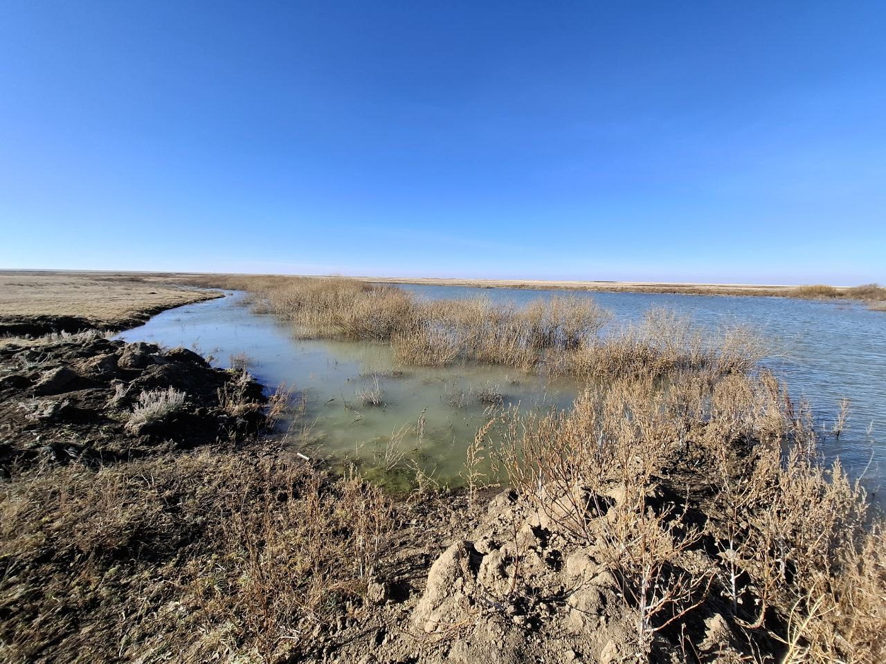 В Карасуском районе приступили к очистке реки Кундызда