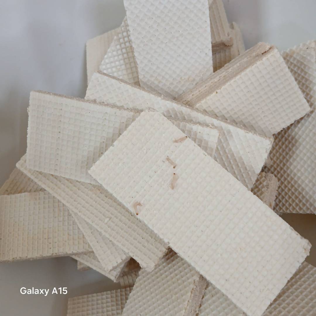 В отделе образования прокомментировали ЧП с червями в вафлях в школе Костаная