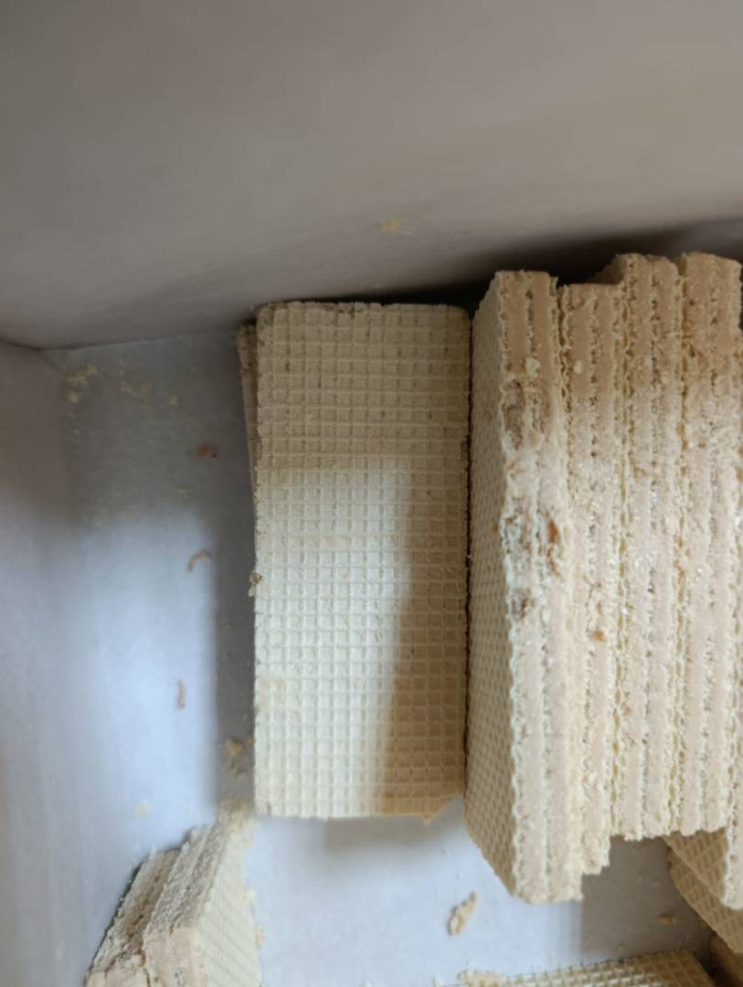 В мини-центре одной из школ Костаная детям подали вафли с червями