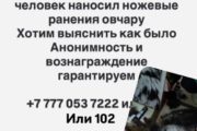 История с раненой ножом собакой вызвала конфликт между волонтёрами в Костанае