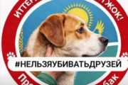 В Аркалыке проведут мирное собрание в защиту бездомных животных