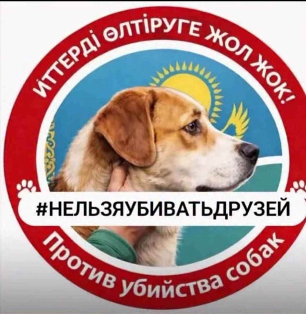 В Аркалыке проведут мирное собрание в защиту бездомных животных