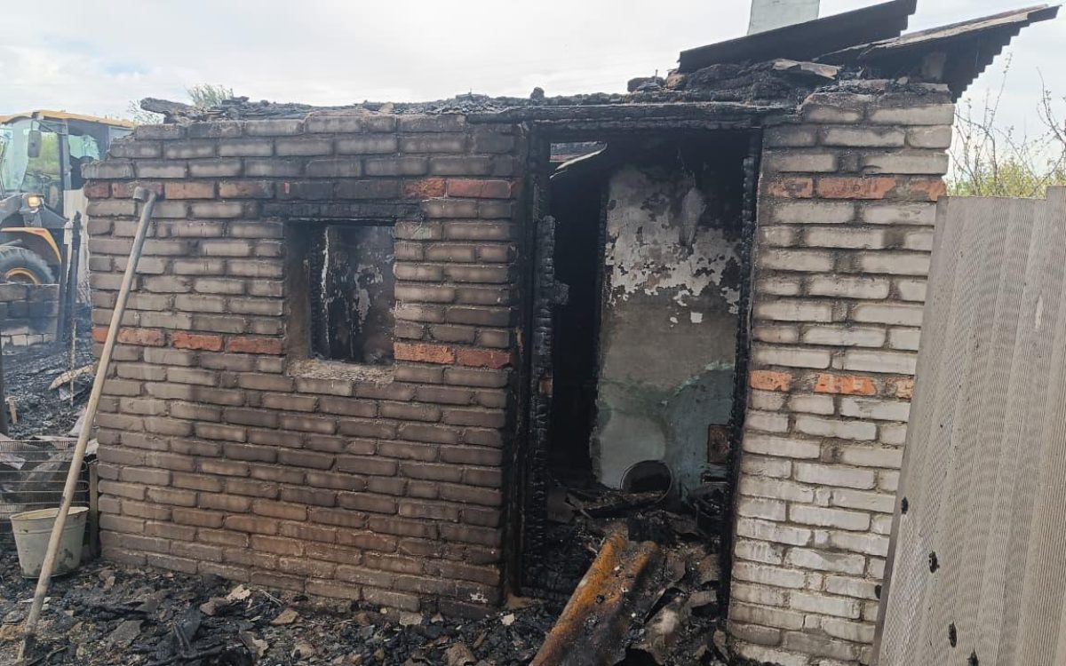 Сгоревшие дачи, поля и животные: хроника пожаров в Костанайской области за неделю
