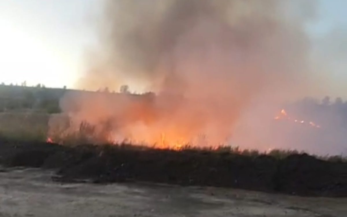 Под Рудным едва не загорелась птицефабрика
